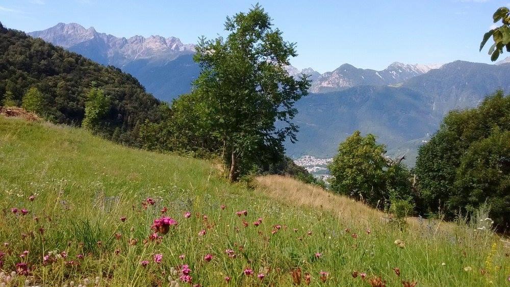 Rifugio Uschione Guest House เคียเวนนา ภายนอก รูปภาพ
